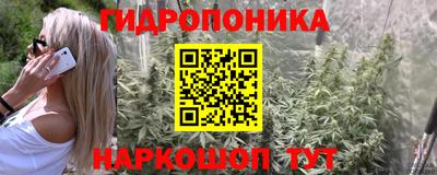 скорость Рузаевка