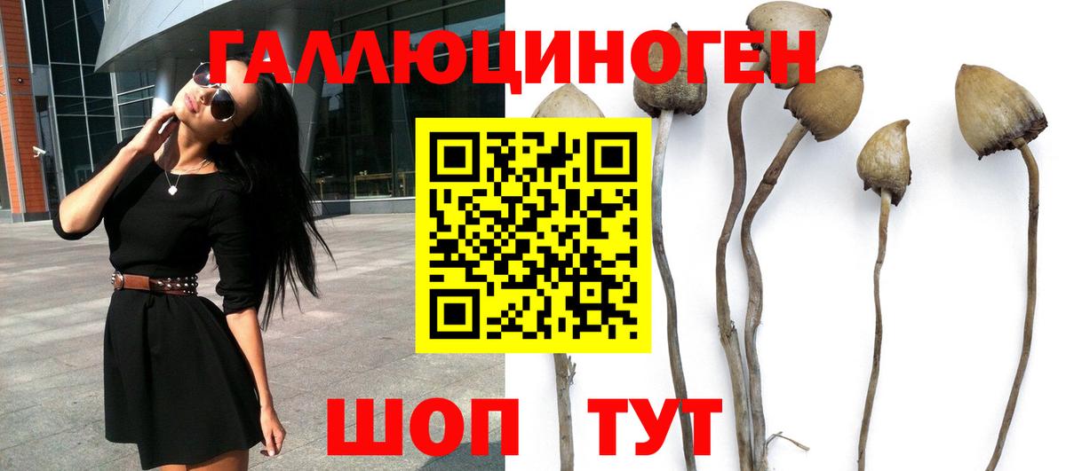 Галлюциногенные грибы Psilocybine cubensis  Псилоцибиновые грибы Psilocybe  купить наркоту  Вход с VPN  Дагестанские Огни 
